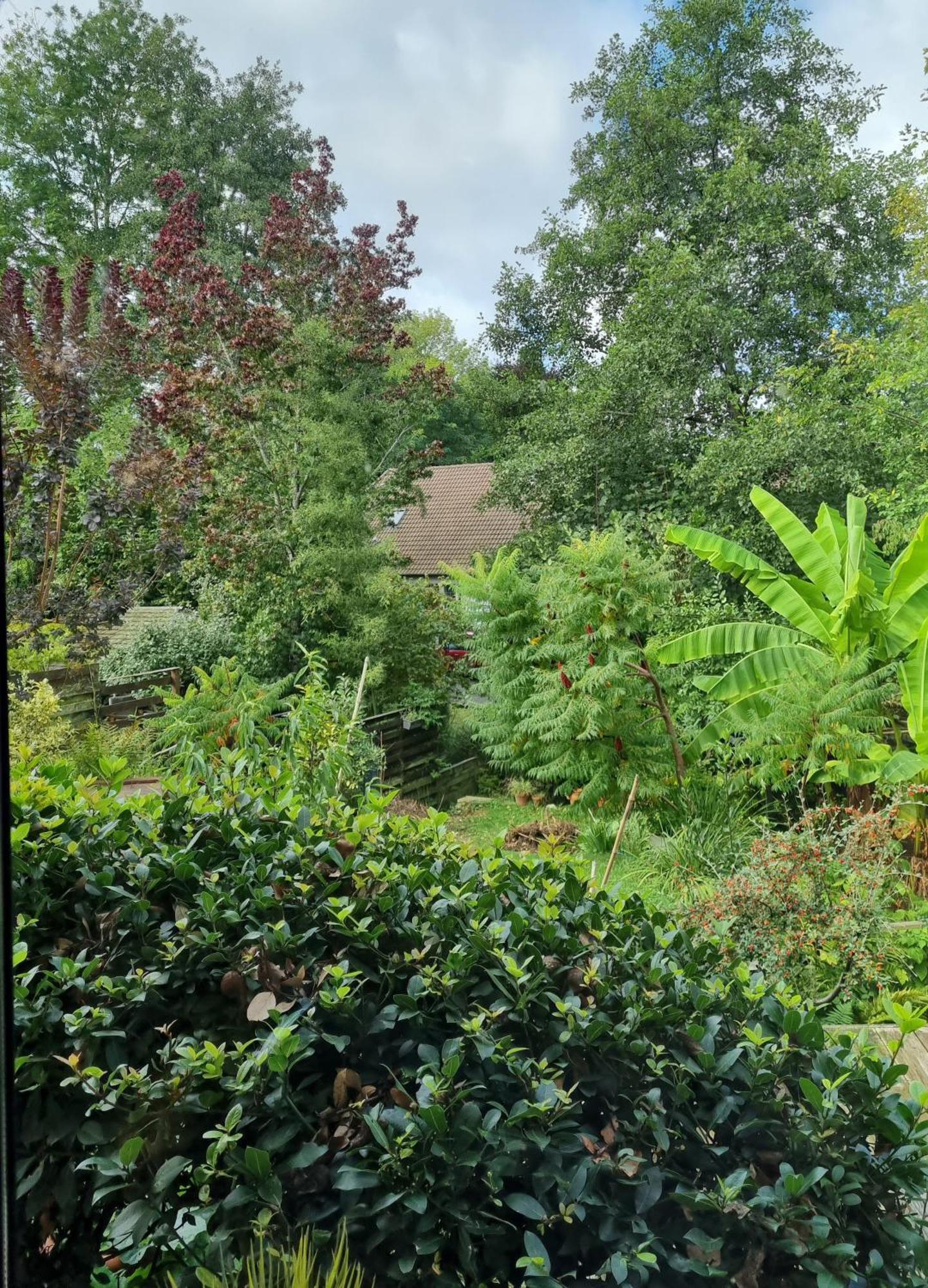 Belle Maison D'Art Verdoyante & Jardin Saint-Rémy-lès-Chevreuse エクステリア 写真