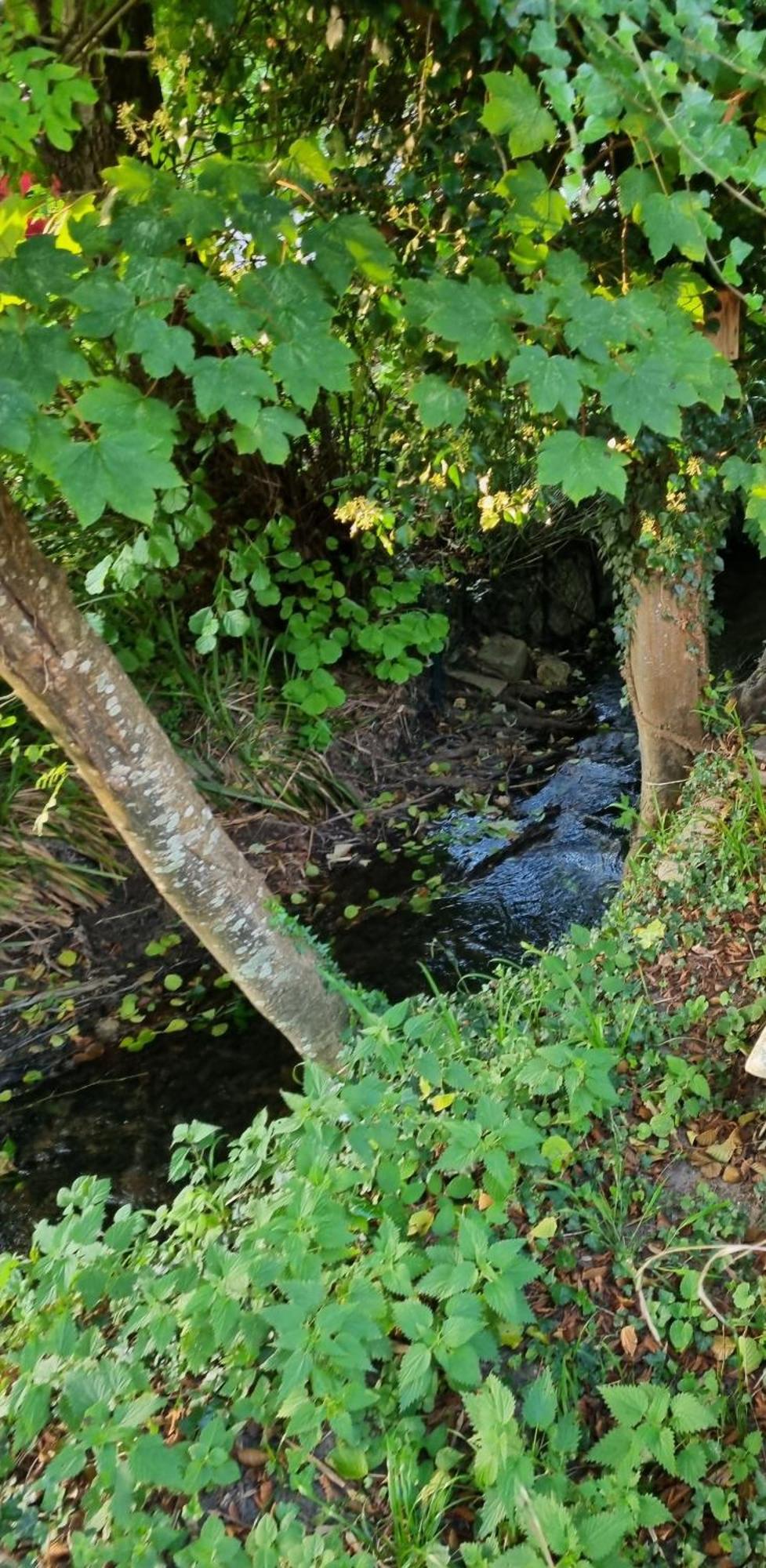 Belle Maison D'Art Verdoyante & Jardin Saint-Rémy-lès-Chevreuse エクステリア 写真
