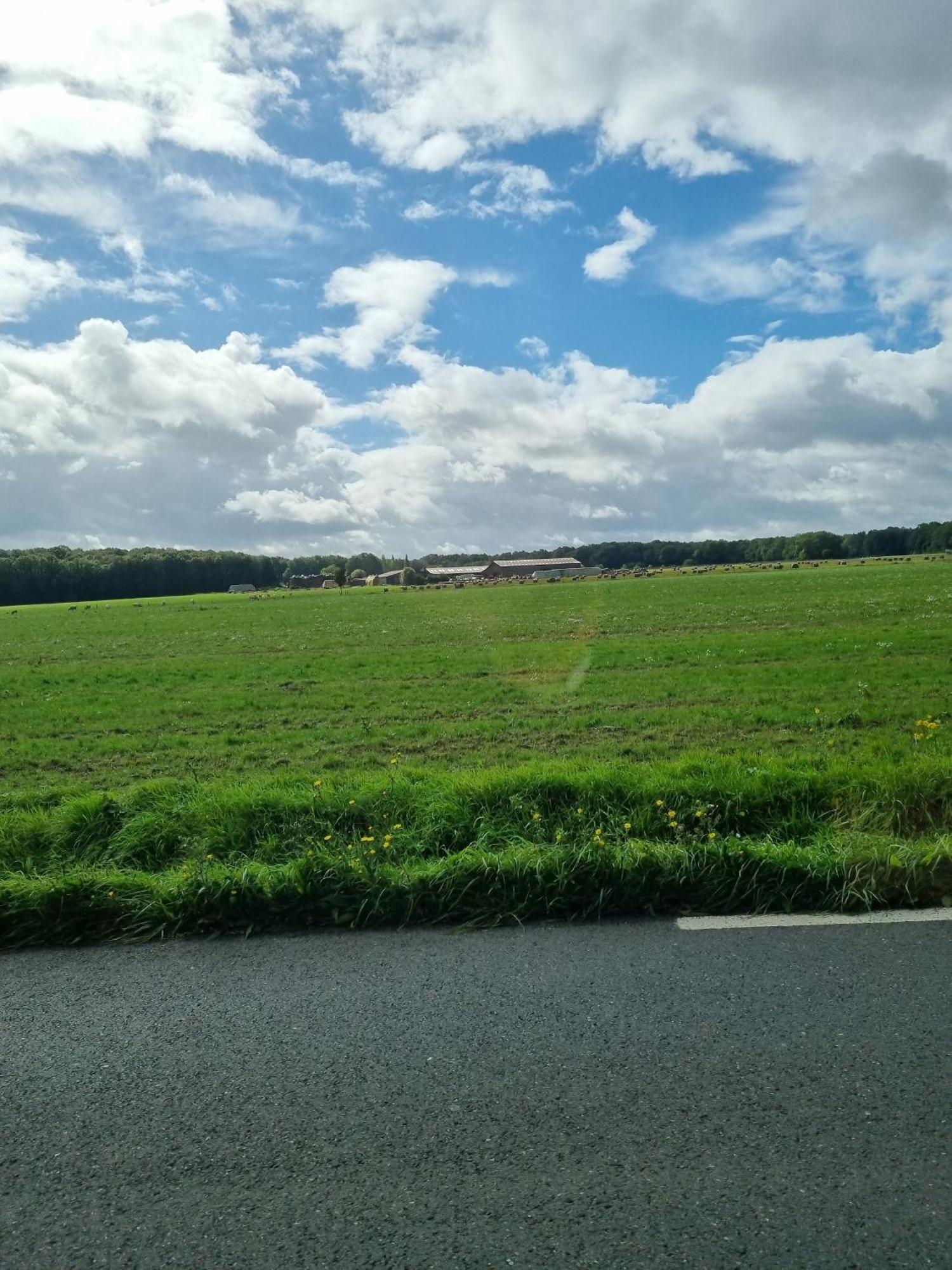 Belle Maison D'Art Verdoyante & Jardin Saint-Rémy-lès-Chevreuse エクステリア 写真
