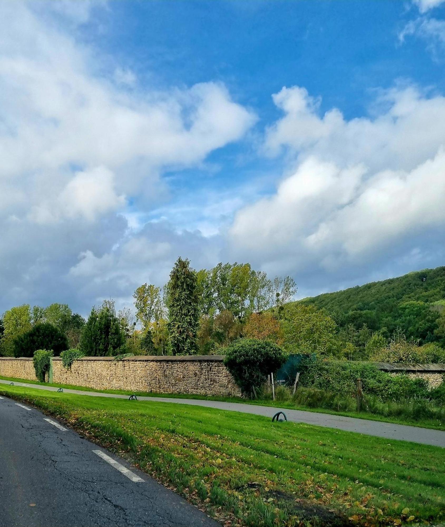Belle Maison D'Art Verdoyante & Jardin Saint-Rémy-lès-Chevreuse エクステリア 写真